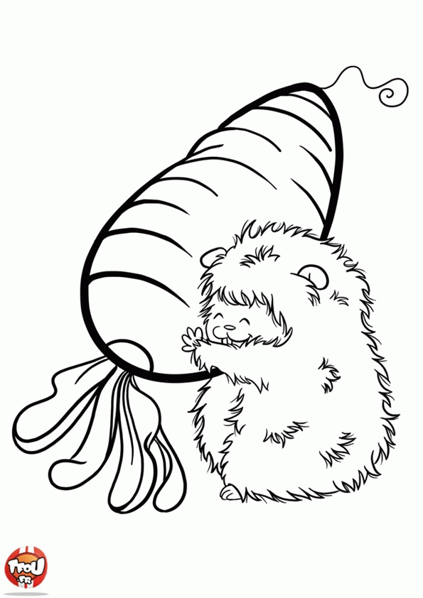 Świnka morska kolorowanki